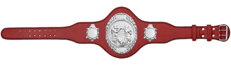 BOXING CHAMPIONSHIP BELT PLT286/S/BOXS-4 COLOURS